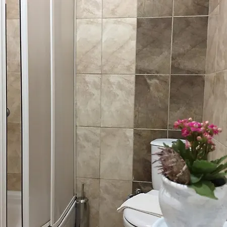 Sarmasik 4*
